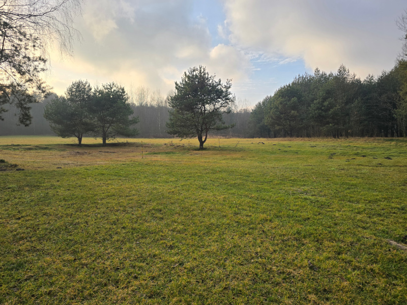 Agroturystyka na polanie w Krzykawce - miejsce zlotu Fiata 126p