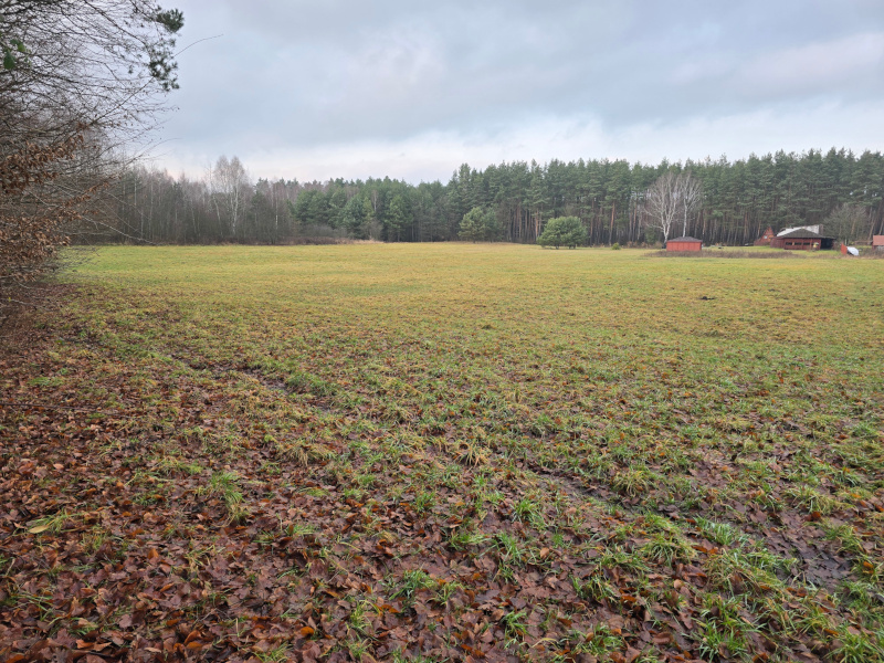 Wiejski klimat biwaku PRL w Krzykawce