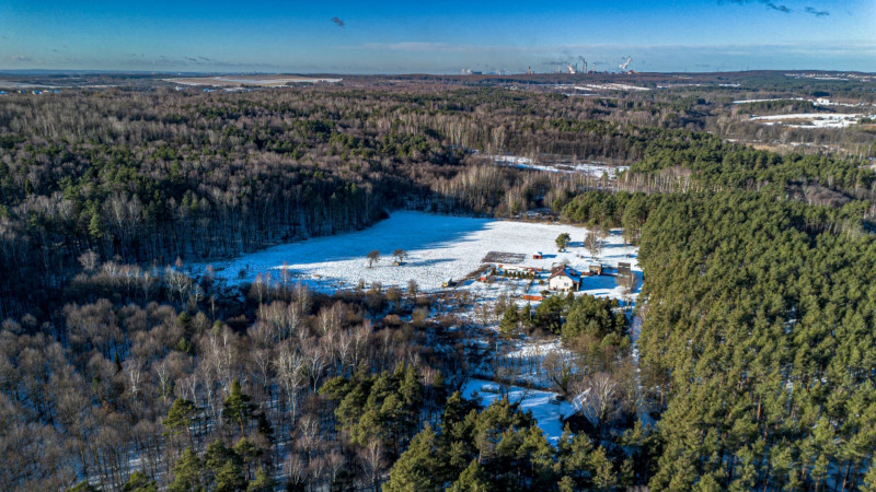 Natura wokół Krzykawki - zieleń i spokojne tereny